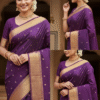 Paithani Pure Indigo Silk  Cotton Handwoven Saree