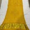 WhatsApp Image 2025-09-14 at 13.19.09 Pure Rai Bandhej Gajji Silk Saree