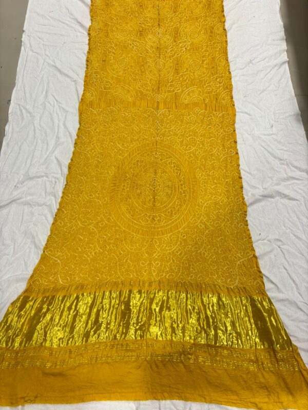 WhatsApp Image 2025-09-14 at 13.19.09 Pure Rai Bandhej Gajji Silk Saree