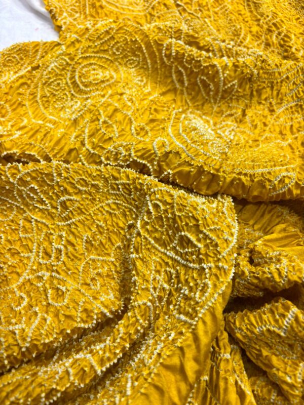 WhatsApp Image 2025-09-14 at 13.19.10 (1) Pure Rai Bandhej Gajji Silk Saree